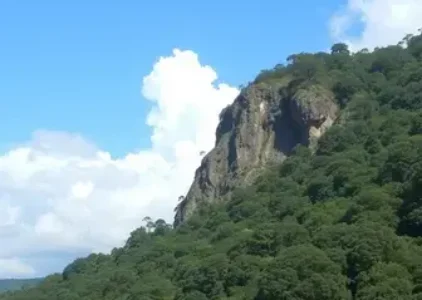 Últimas noticias de Taboão da Serra
