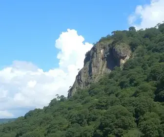 previsão do tempo em Taboão da Serra e região